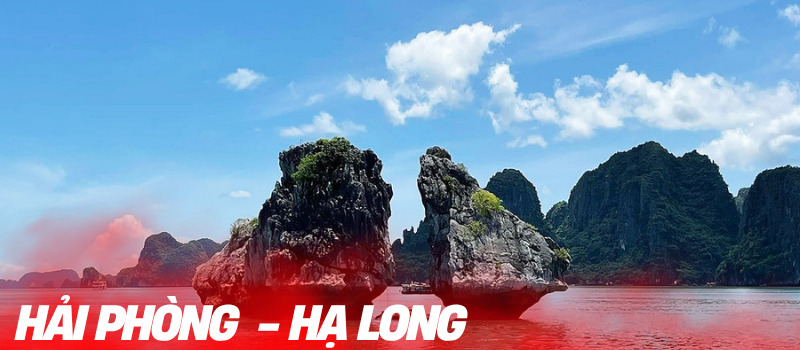 xe ghép hải phòng